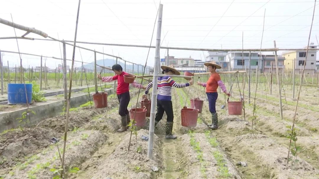 长泰的发展趋势,长泰发展前景怎么样