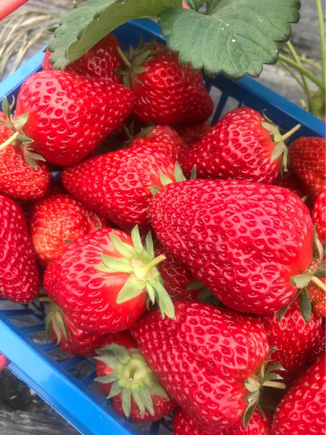奉化旅游团一日游,奉化乡村一日游最佳景点