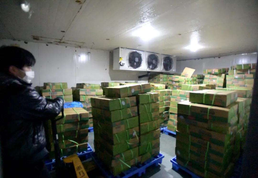 储备冻肉今日价格,哪里可以买到储备冻肉