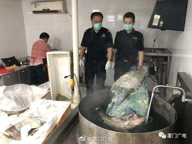 海关查获190箱海鲜产品,海关查获海鲜案件