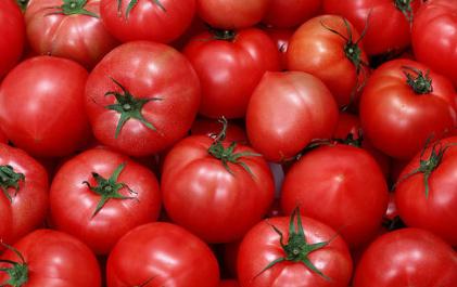 促进生长剂排行,生长调节剂哪种最好最快