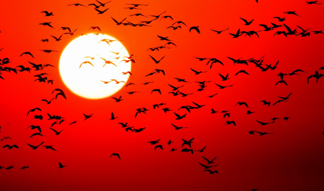 东营安康宾馆,东营宾馆如何