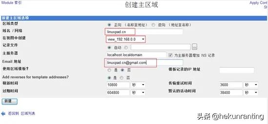 企业内网不搭建dns服务可以吗,局域网dns服务器架设