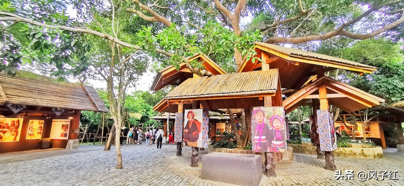 三亚这个用一难吃果子命名的地方，见血封喉皮做衣服，妇女都纹面