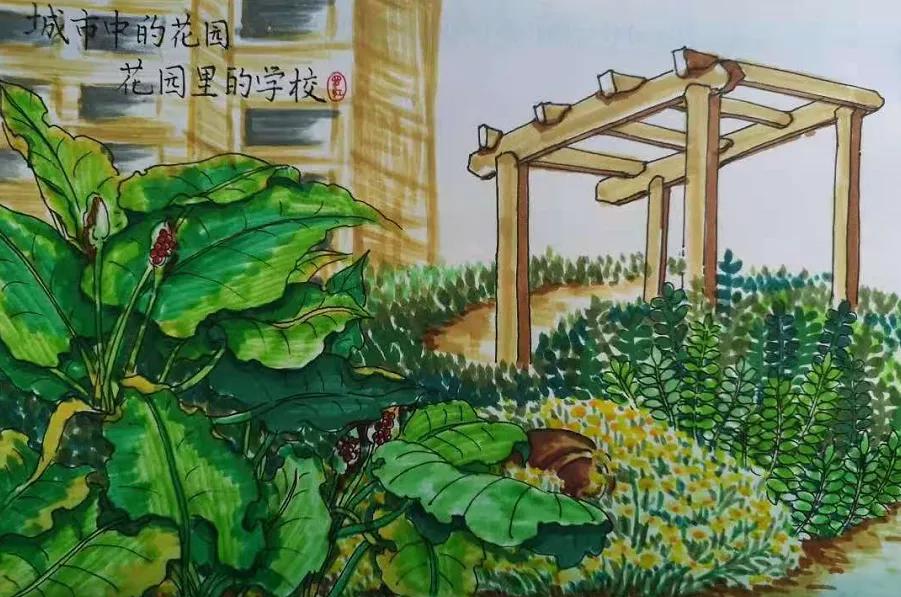 成都小学五朵金花是哪些,成都十大金花小学