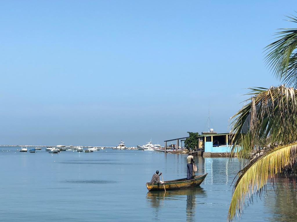 几内亚的地理位置及环境,几内亚自然环境