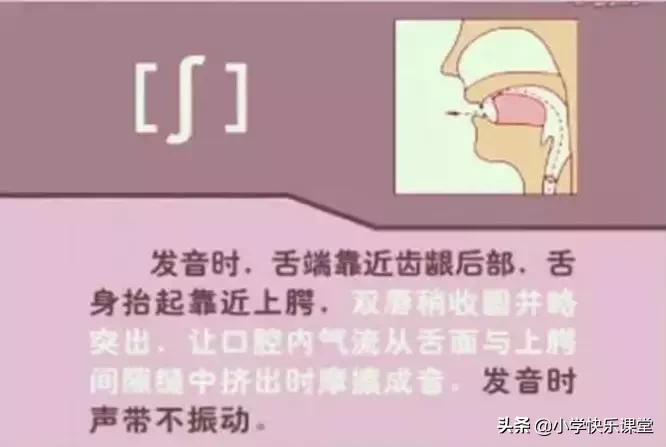 48个国际音标的发音口型视频图,英语48个音标发音口型视频