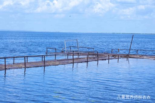 暑假内蒙古旅游攻略亲子,暑假亲子游玩内蒙古5天4夜