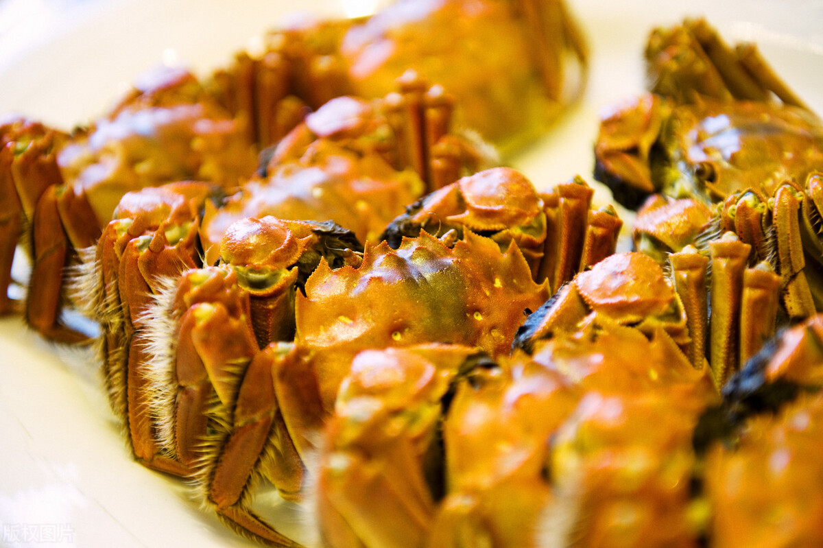 螃蟹怎么放的时间长不会死,螃蟹怎么能放时间长不会死