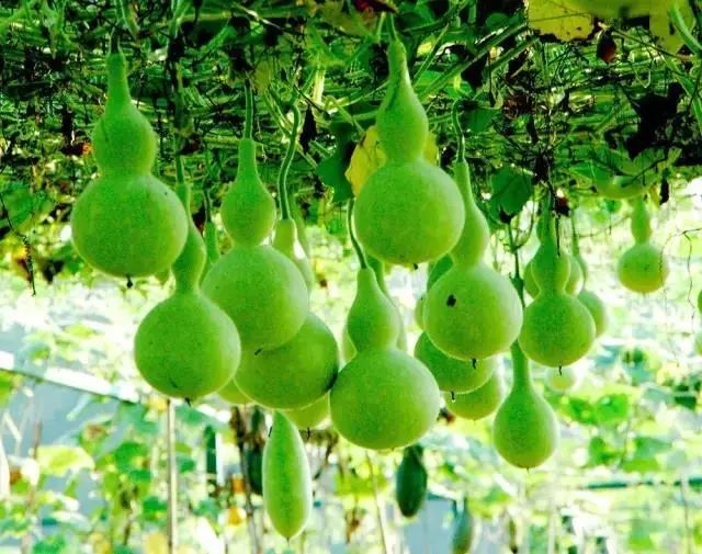 重庆五一冷门自驾,重庆出发自驾8日游攻略路线推荐