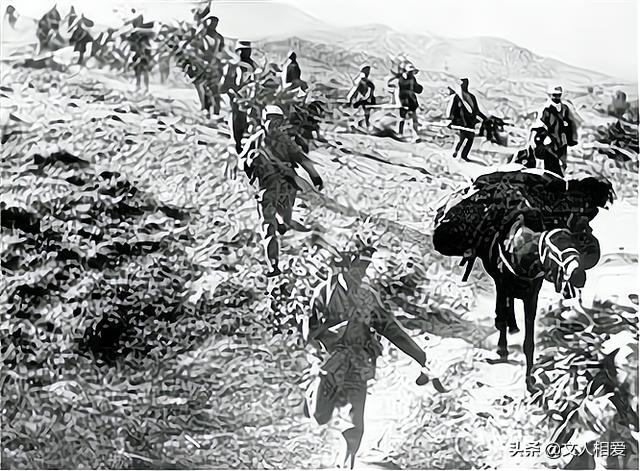 起义的国军一级上将,国军起义入朝的参战师级部队