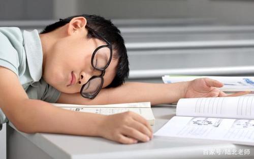 虎妈的动物套路,虎妈育儿方式失败的案例