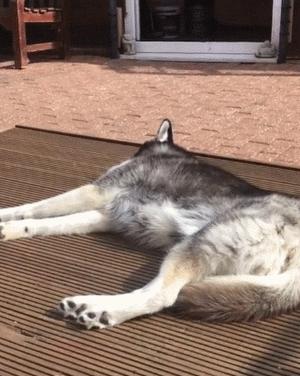 疫情中的替代性创伤,疫情替代性创伤