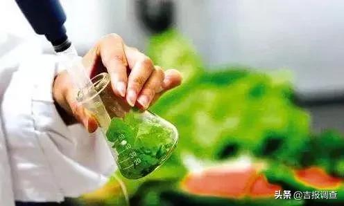 吉林抽检食品不合格名单,吉林省抽检不合格食品名单