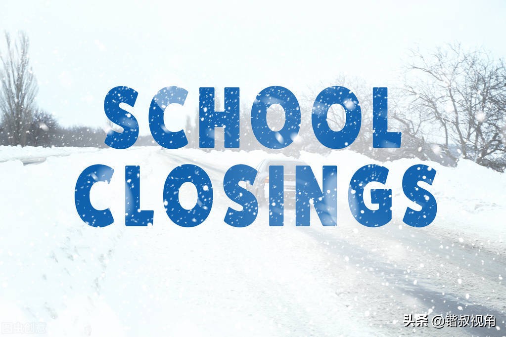 重磅!两所私立学校终止办学,学生何去何从…