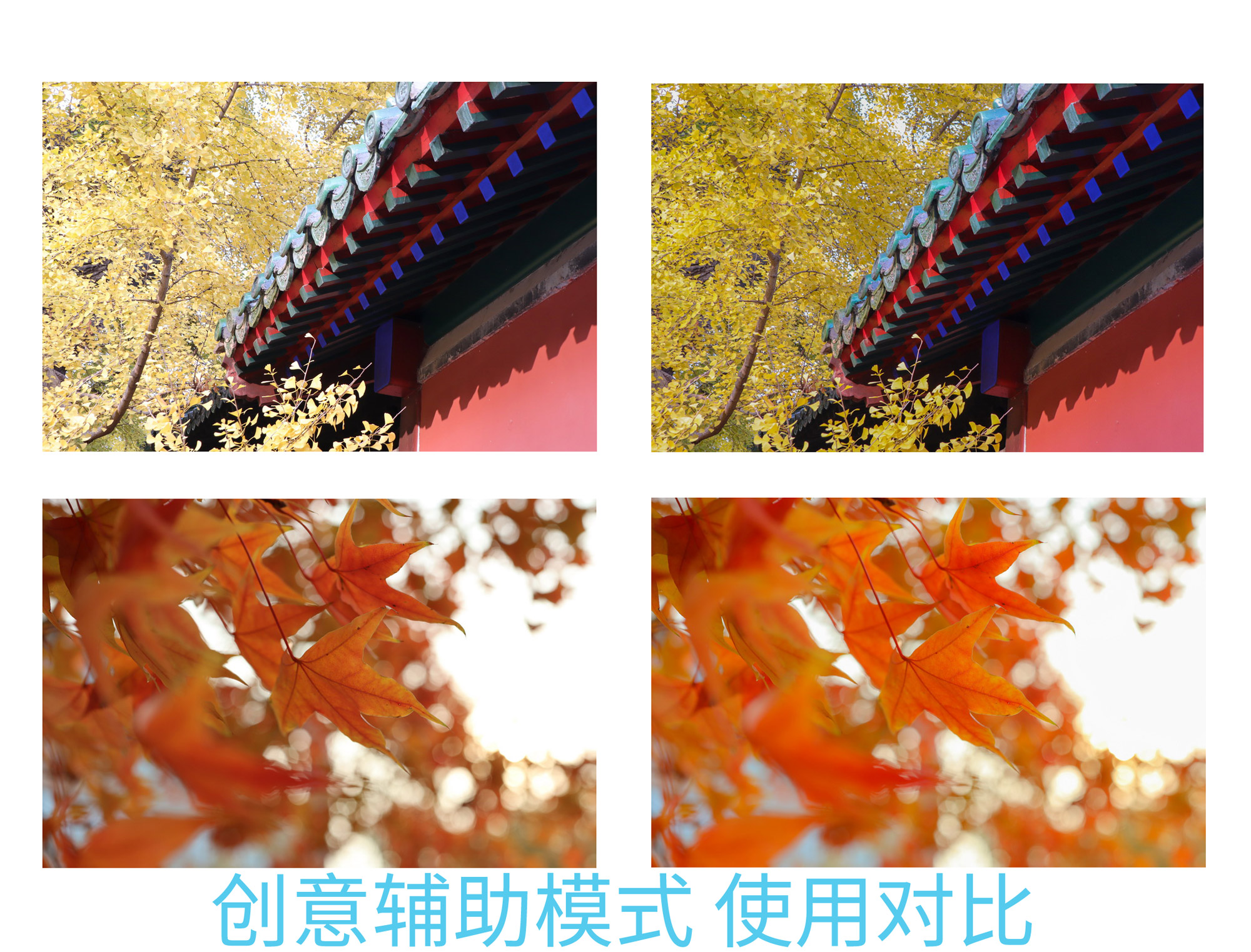 佳能eosm200测评,相机推荐入门佳能eosm200