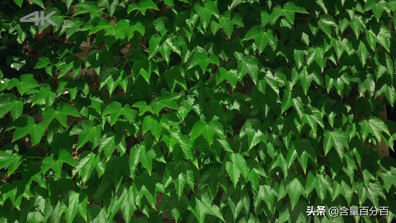 中柏二合一pad8平板电脑评测,中柏二合一平板电脑ezpad8