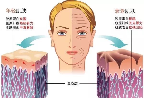 护肤护甲软糖,护甲护发护肤