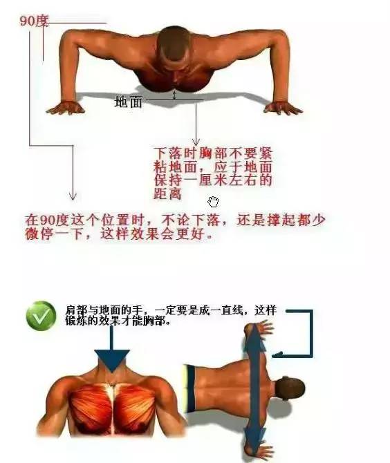 男士入门健身动作初学者教学,超简单男士健身方法分享