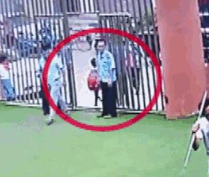 2019年奇葩的沙雕新闻都有哪些,2018年外国奇葩沙雕新闻