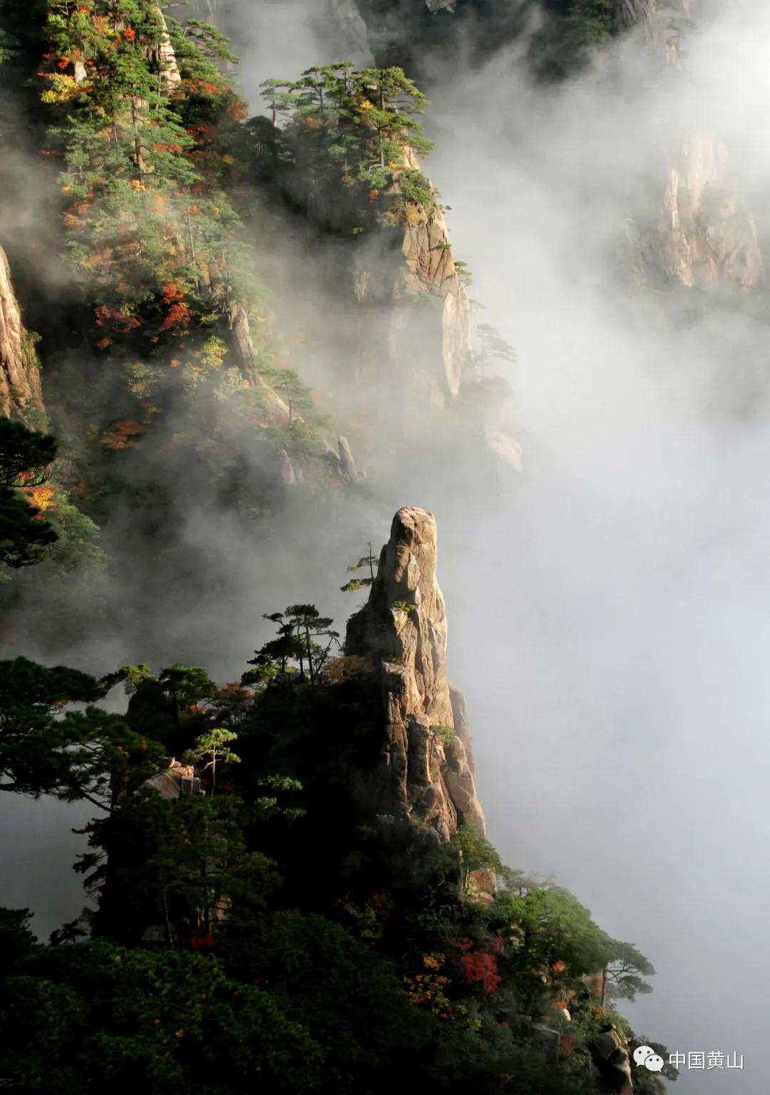 榛勫北绉嬪ぉ鎵撳崱,榛勫北绉嬪啲鎽勫奖澶ц禌