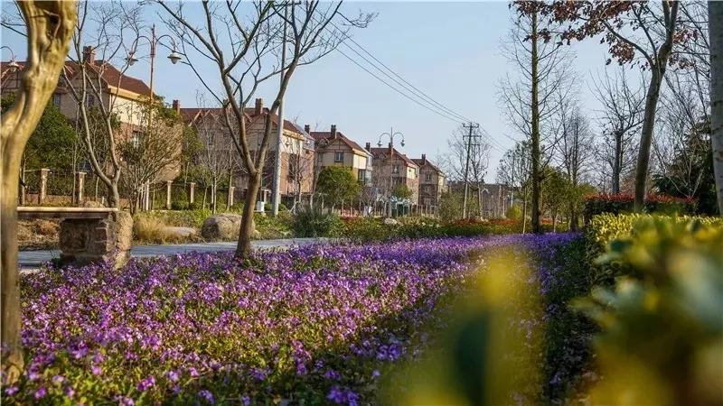 松江国际生态商务区地标,松江国际生态公园