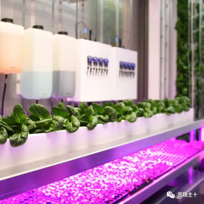 大型农场建造,家庭农场可以放置集装箱做民宿