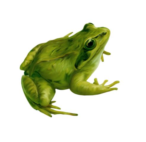 小学语文知识大集结练习十一,小学语文基础知识的练习册