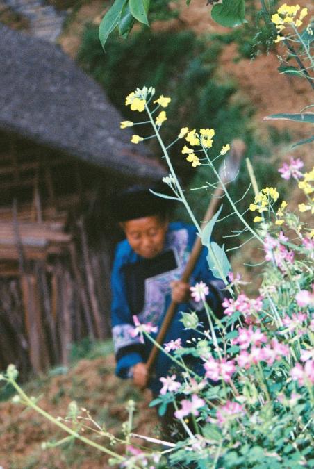 张子枫是如何成为国民妹妹,张子枫演的那个小女孩是什么