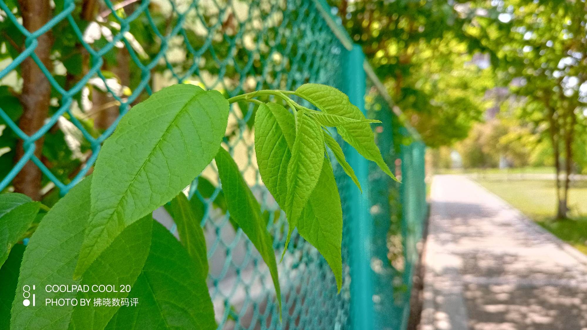 酷派cool20测评游戏,酷派cool20发布时间