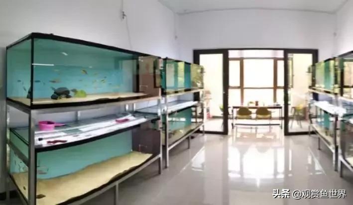 梦想的三湖世界持续建设中……方位:中国天津