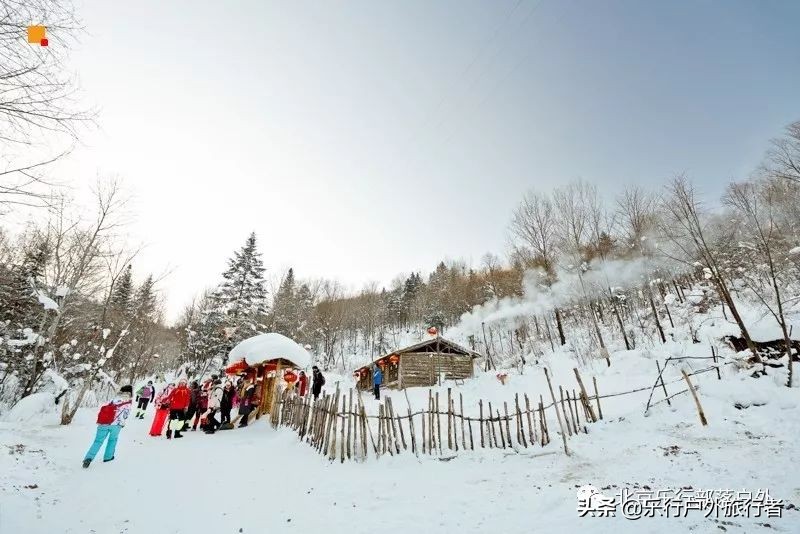 冬天漠河白桦林童话世界完整视频,冰雪大世界长白山雪乡六天五晚