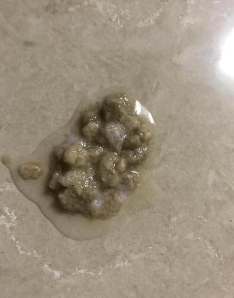 狗狗呕吐狗粮怎么回事,狗狗吐了狗粮要怎么办呢