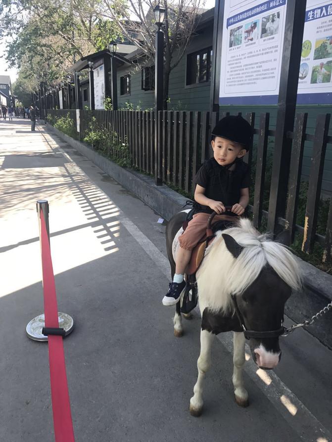 一家四口暑假日常之去游乐场,四川亲子游5日游8月游记