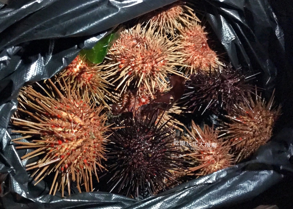 遇上浓浓的大连海蛎子味,青岛海蛎子旅游攻略