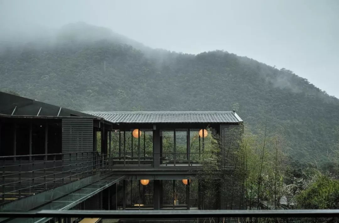 什么是药食同源你知道吗,如何正确认识药食同源