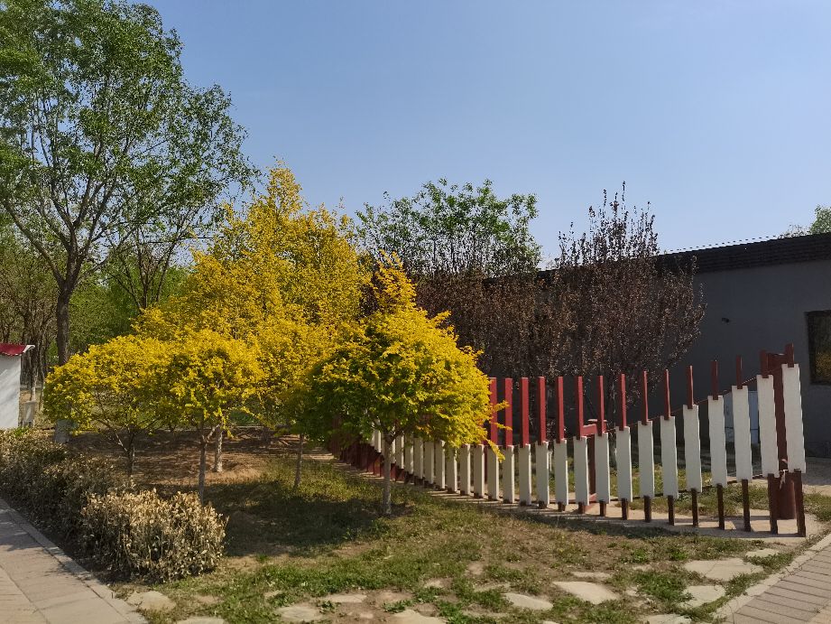 吃饱了来公园走走,吃饱喝足广场散步