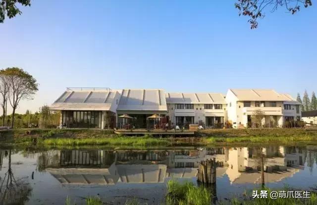 带宠物住宿酒店,带宠旅行酒店