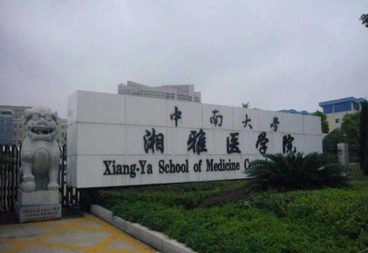 同样是护理专业，本科和专科之间的差距有多大，学生尽量早了解