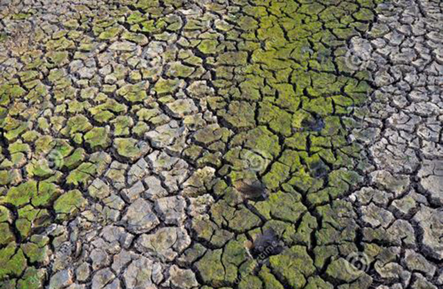 缺水、少地，先天不足的古代西班牙，为何在后倭玛亚逆袭成功？