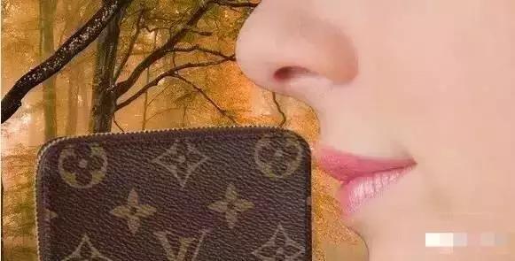 如何识别大牌包包真假,大牌包包如何鉴别