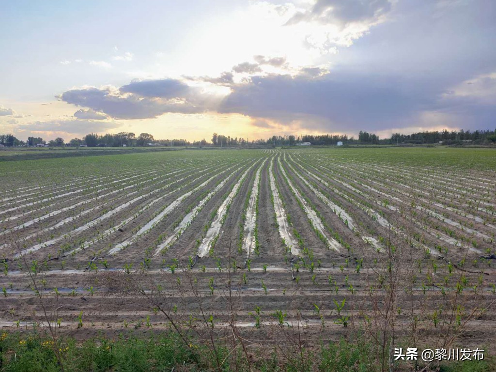 内蒙古达拉特旗县恩格贝镇,达拉特旗恩格贝镇