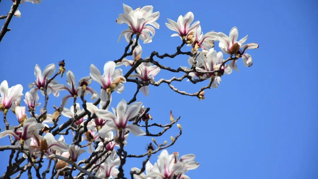 瞧!这花花世界谁不爱