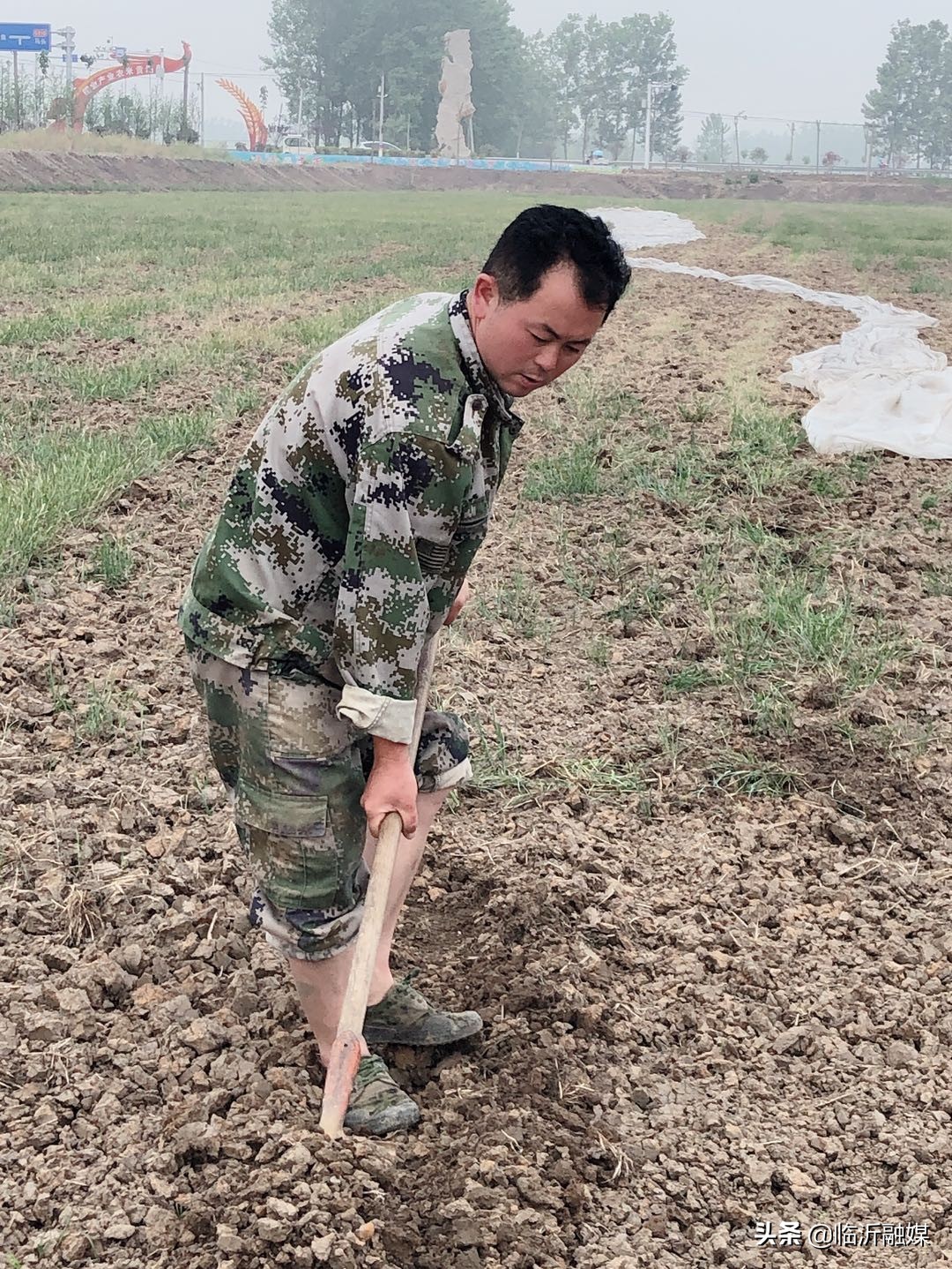 临沂农民致富,农妇带领村民走上致富之路