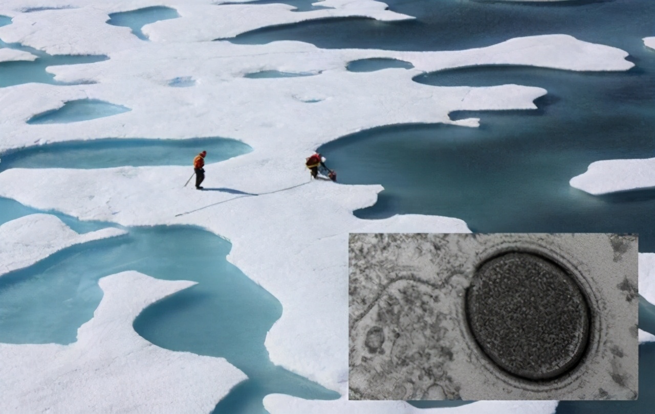 北极再现史前生物,南极爆发新冠疫情,大自然正悄悄惩罚人类