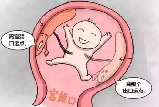 前置胎盘是怎么回事？到底有多危险？