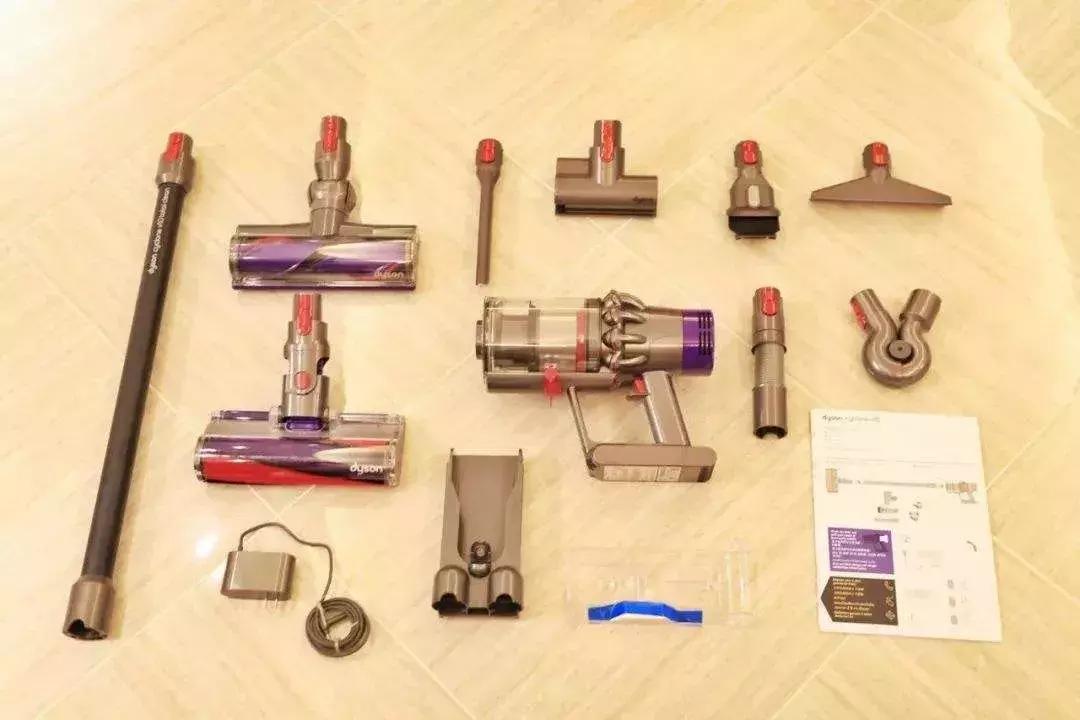 行走的蒲公英猫咪照片,行走的蒲公英猫品种