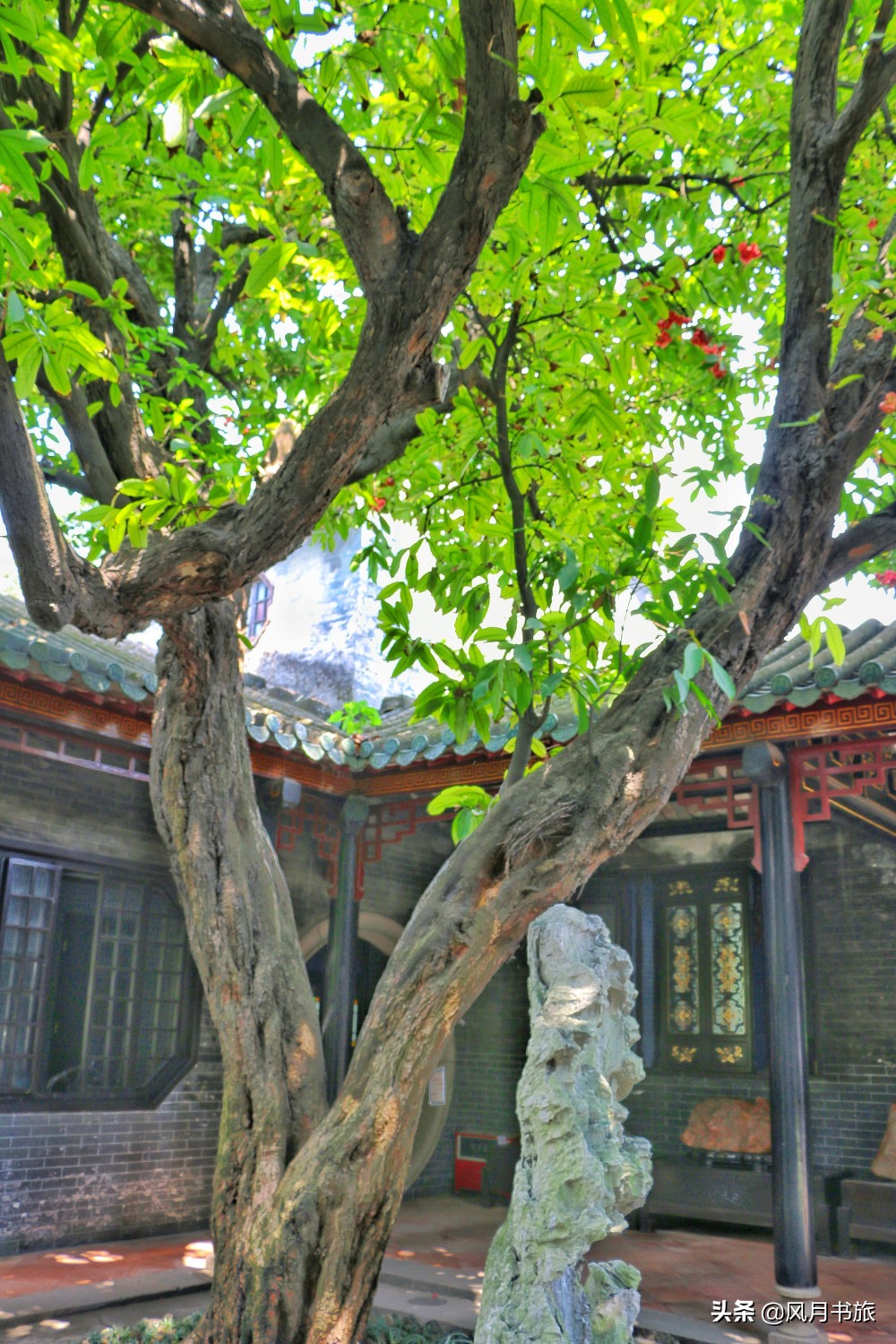 广东佛山百岁名园40年建成，关山月题名，罗哲文称它岭南第一园