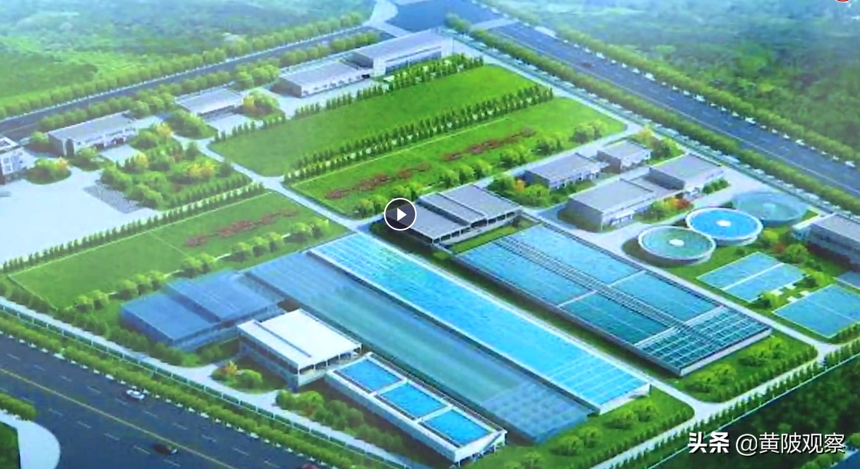 黄陂区要发展5个区域,武汉黄陂大项目