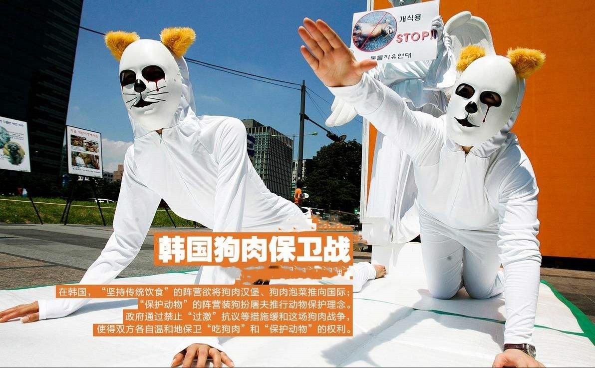 韩国人吃狗肉现状,韩国人吃狗犯法吗